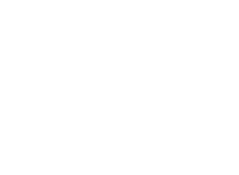 网页版电话攻击